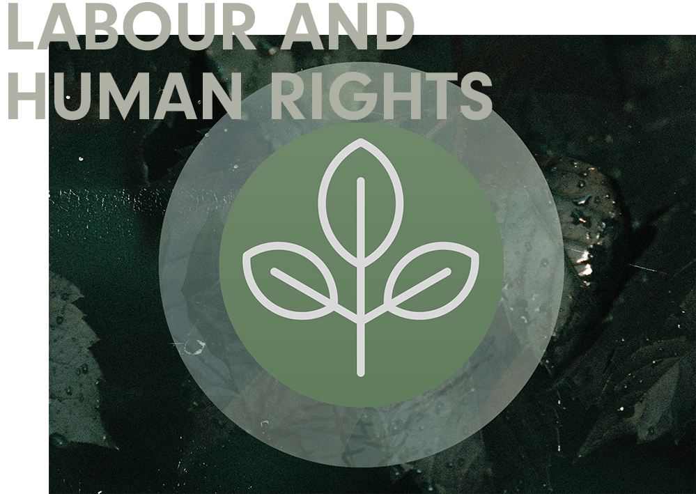 LABOUR AND HUMAN RIGHTS